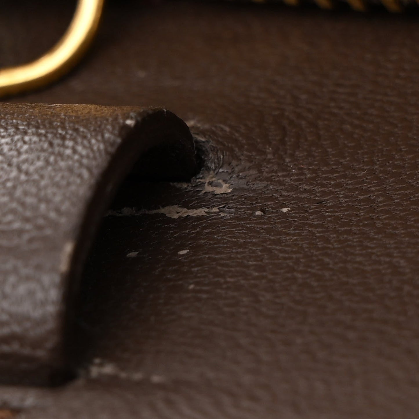 Lizard Medium Classic Box Flap Bag Natural