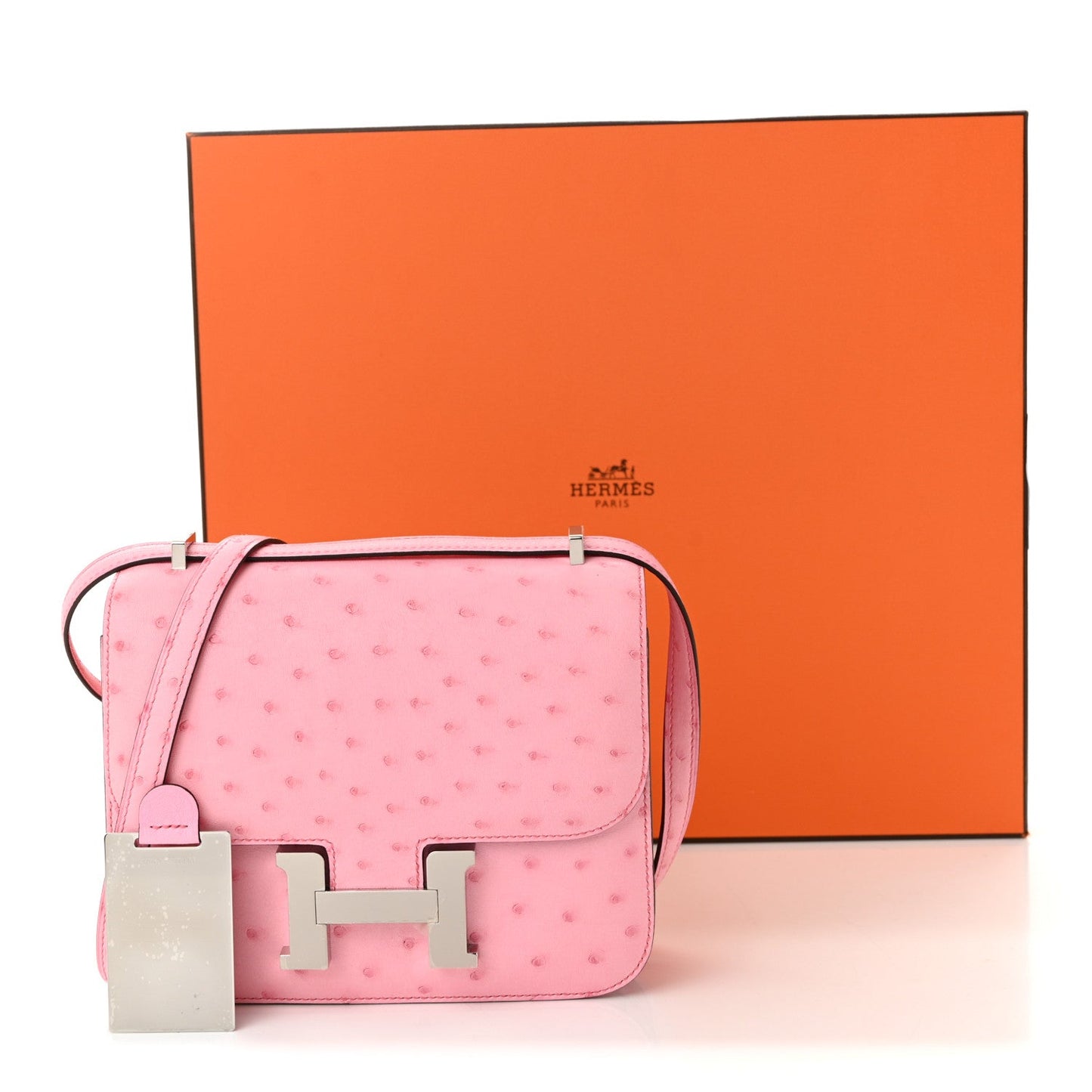 Ostrich Constance 18 Bubblegum