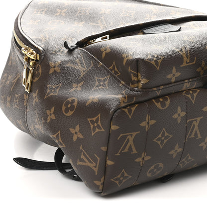 Monogram Palm Springs Backpack MM