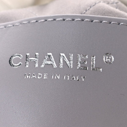 Metallic Shaded Calfskin Quilted Mini Chanel 22 White Silver
