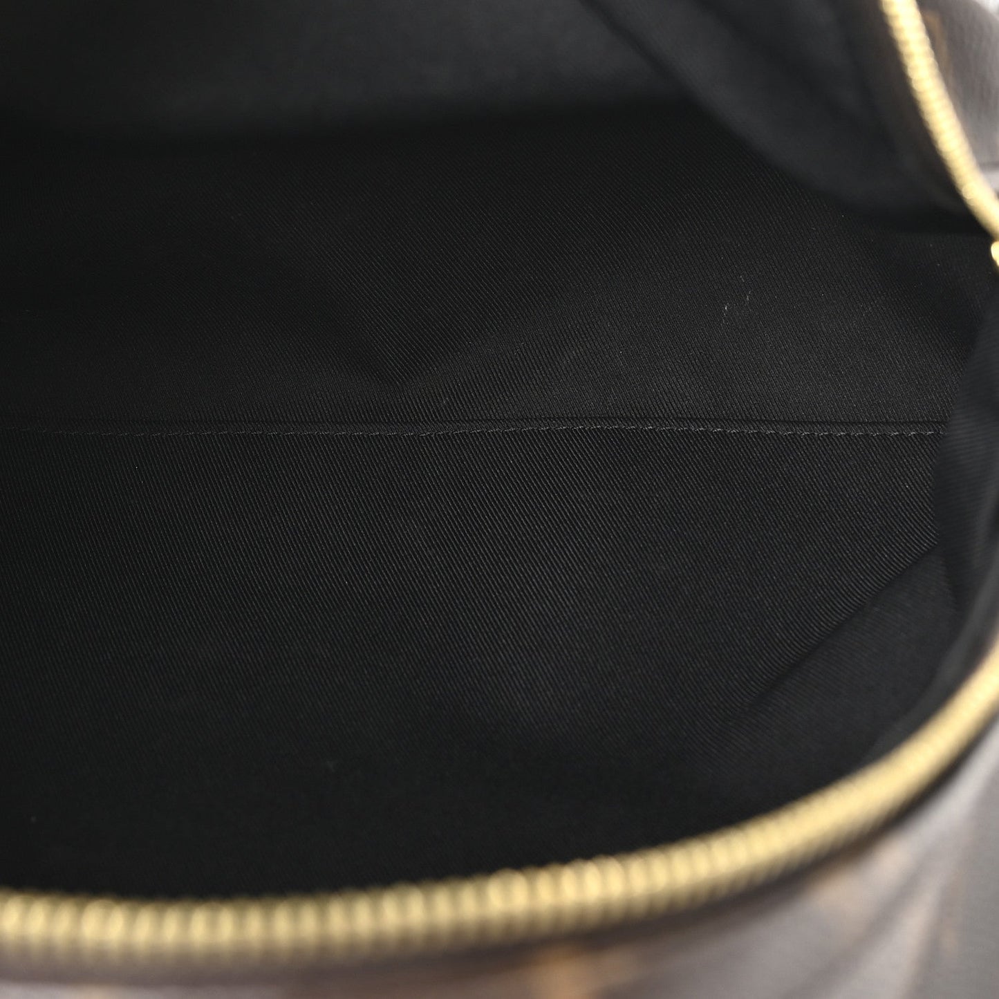 Monogram Palm Springs Backpack MM