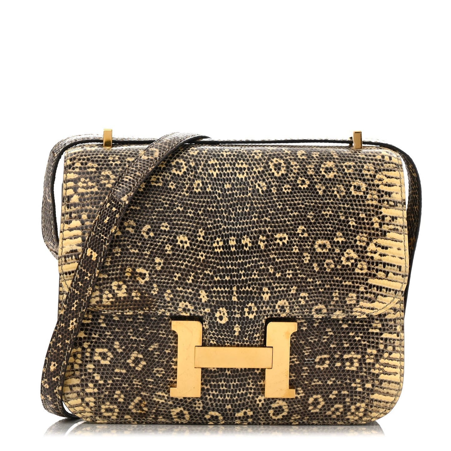 Lizard Constance 18 Ombre