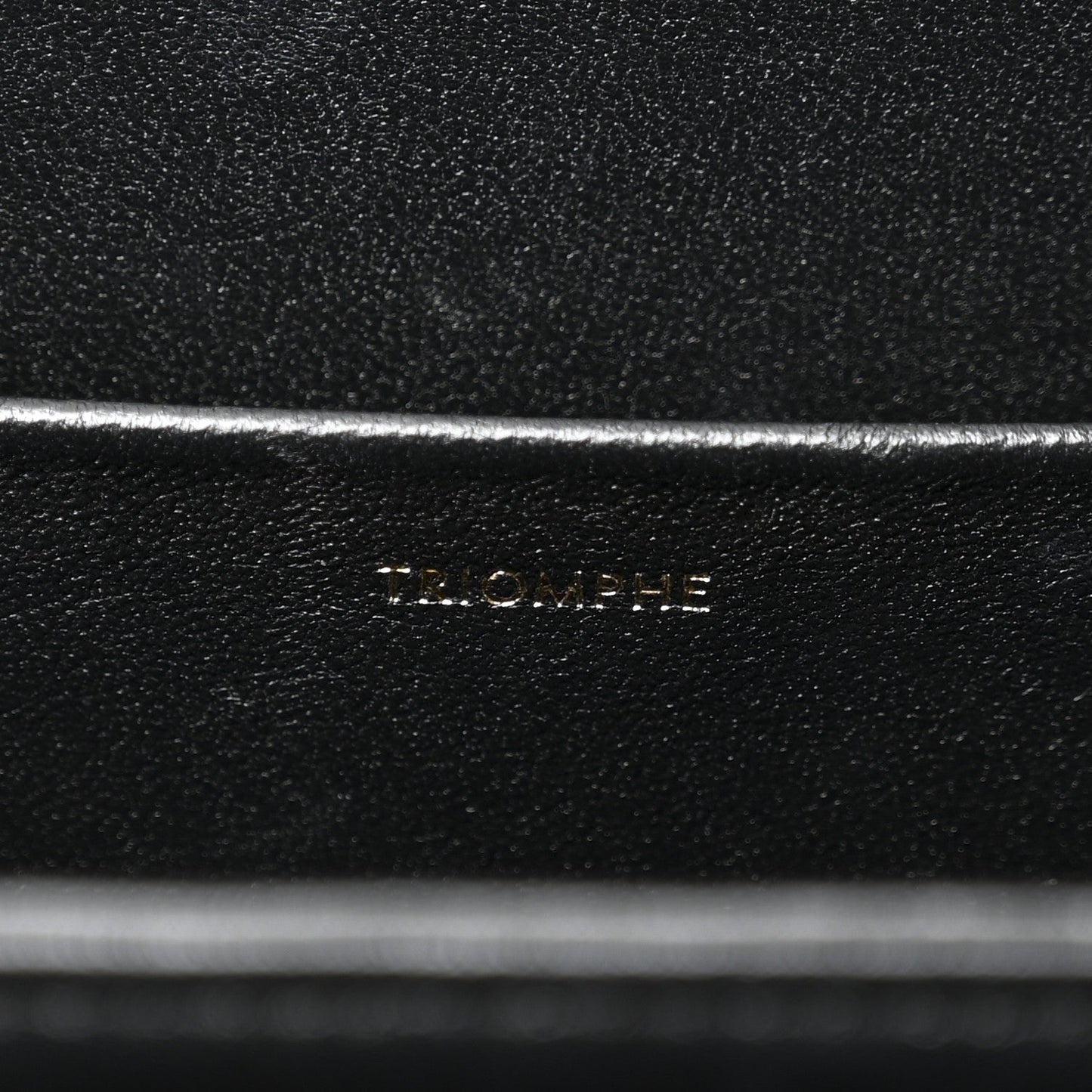 Shiny Calfskin Medium Triomphe Black