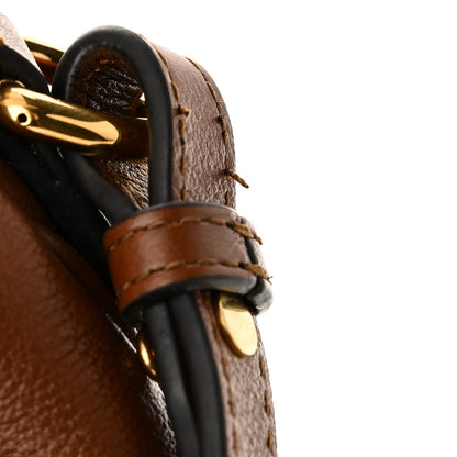 Softy Wonka Textured Dollar Calfskin Small Diana Shoulder Bag Cuir