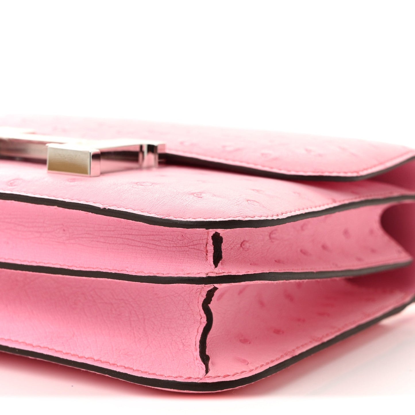 Ostrich Constance 18 Bubblegum