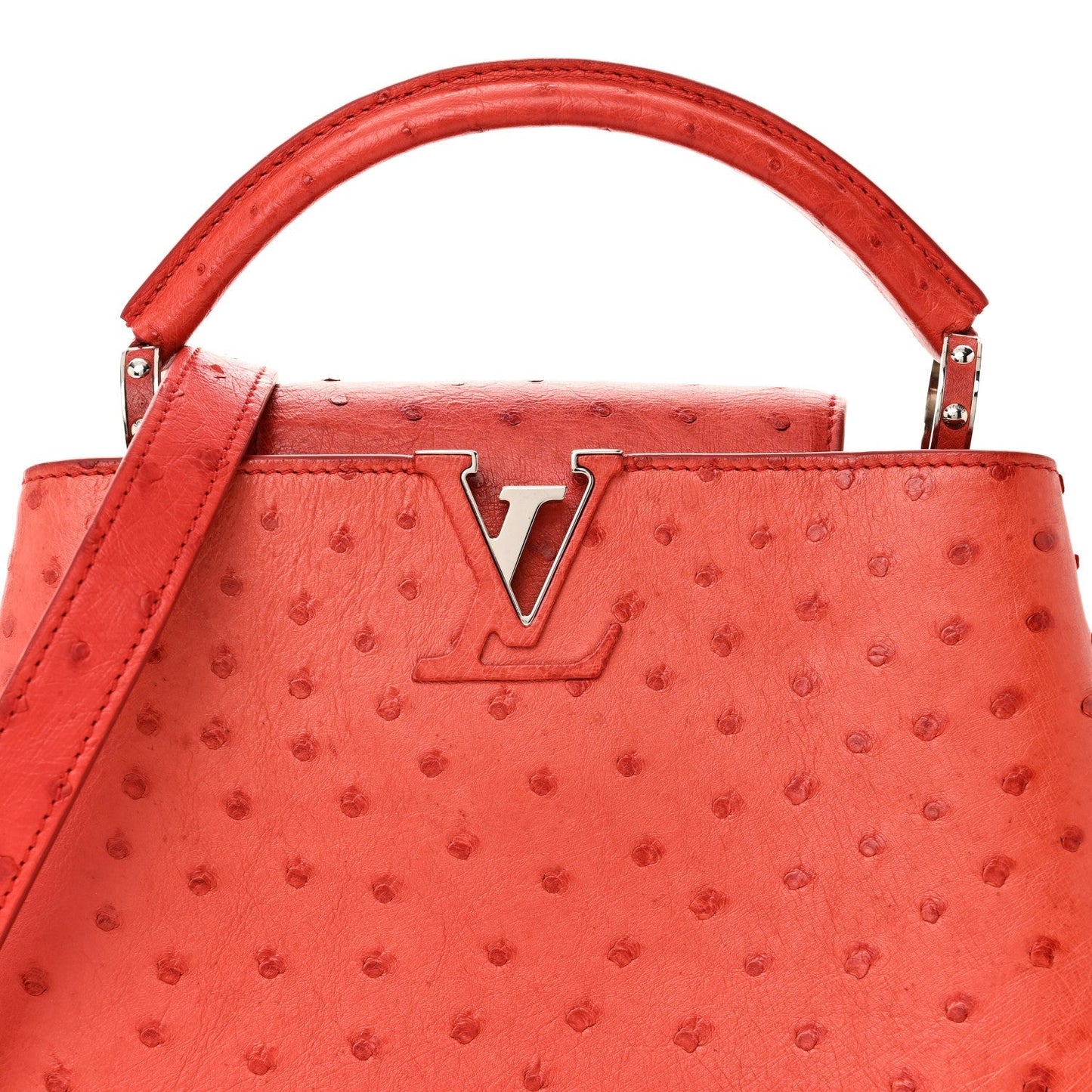 Ostrich Capucines BB Coquelicot