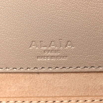 Shiny Goatskin Medium Le Teckel Bag Grege