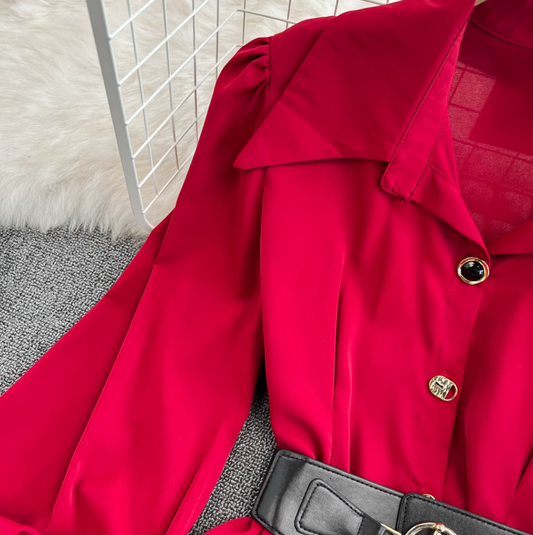 2025 Retro Temperament Waist Slimming Pleated Long Sleeve Shirt Skirt Mid-length Loose Top R0395