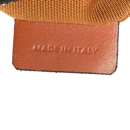 Triomphe Canvas Calfskin Medium Strap Ava Triomphe Shoulder Bag Tan