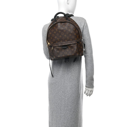 Monogram Palm Springs Backpack MM