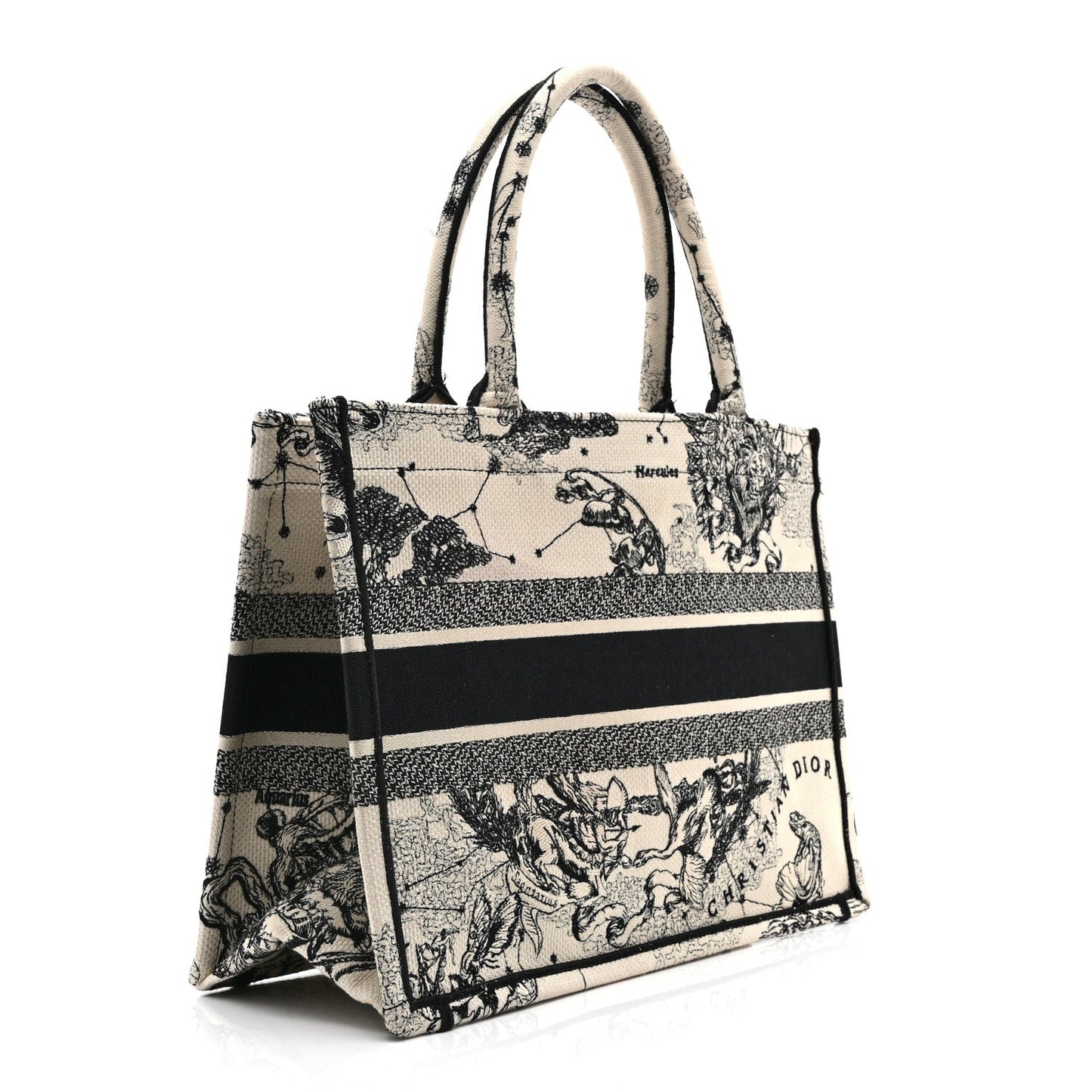 Canvas Zodiac Toile De Jouy Embroidered Medium Book Tote Latte