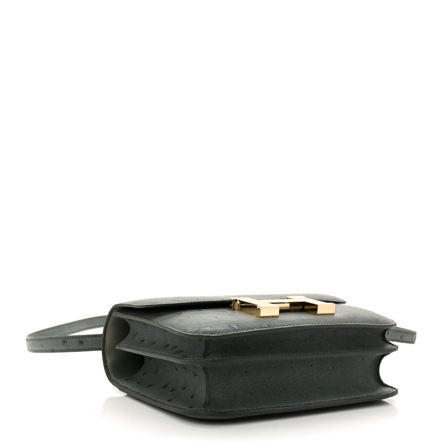 Ostrich Constance 18 Vert Amande