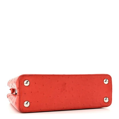 Ostrich Capucines BB Coquelicot