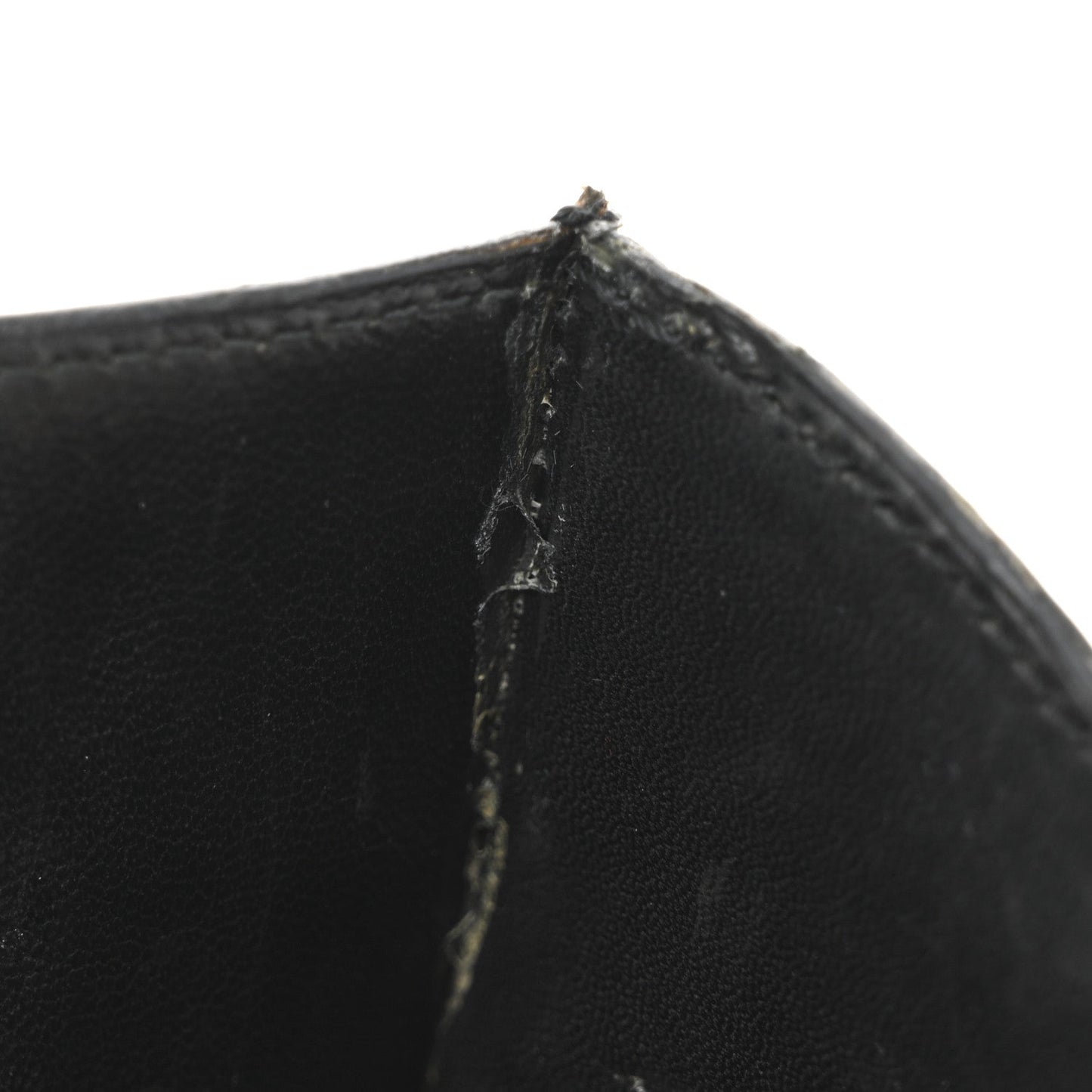 Shiny Caiman Crocodile Constance 23 Black