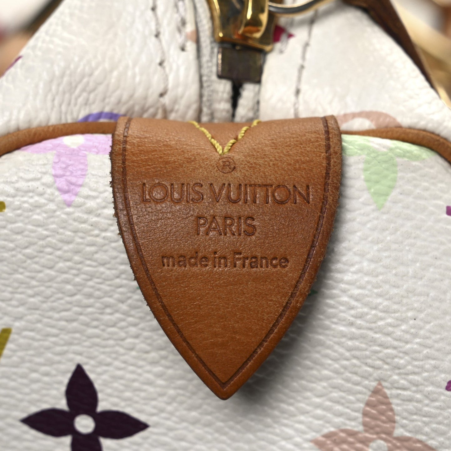 Monogram Multicolor Speedy 30 White