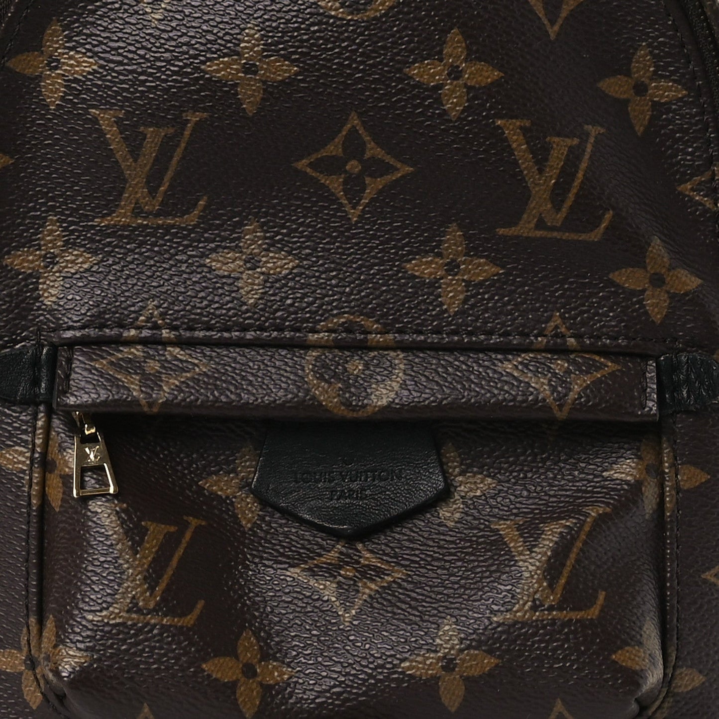 Monogram Palm Springs Backpack Mini