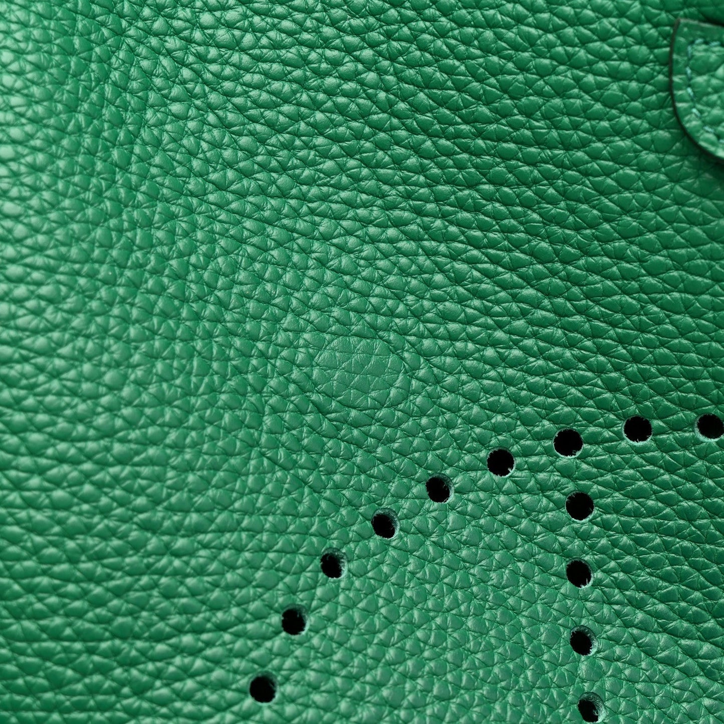 Taurillon Clemence Evelyne III PM Vert Vertigo