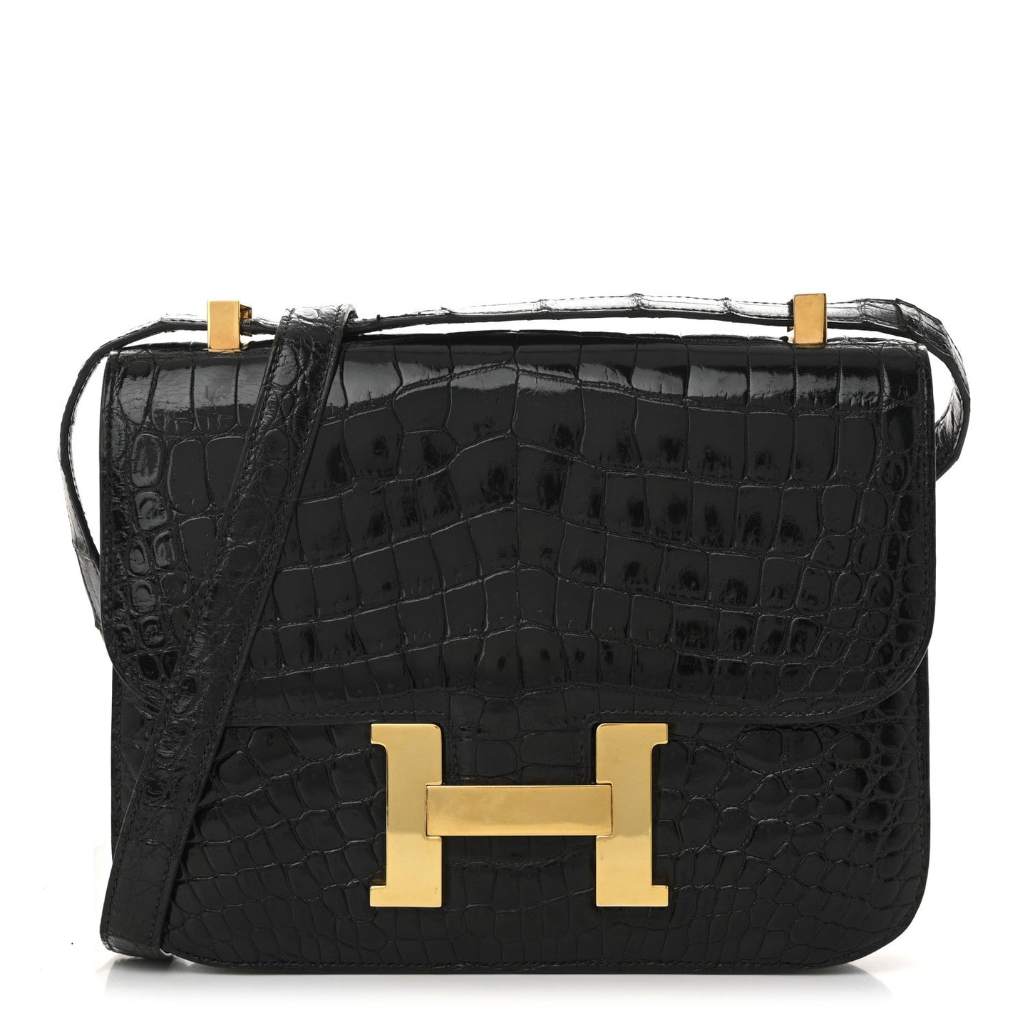 Shiny Caiman Crocodile Constance 23 Black
