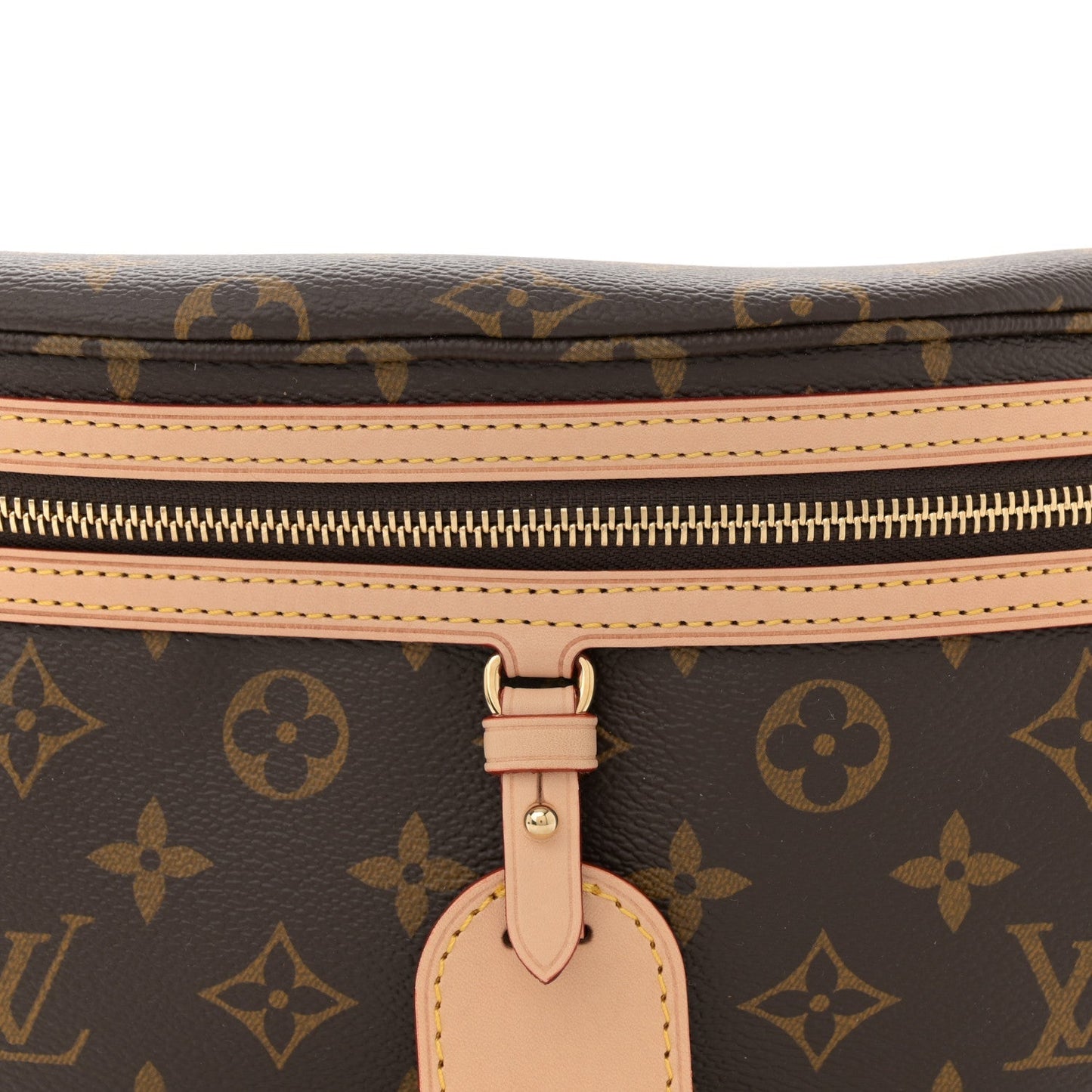 Monogram High Rise Bumbag