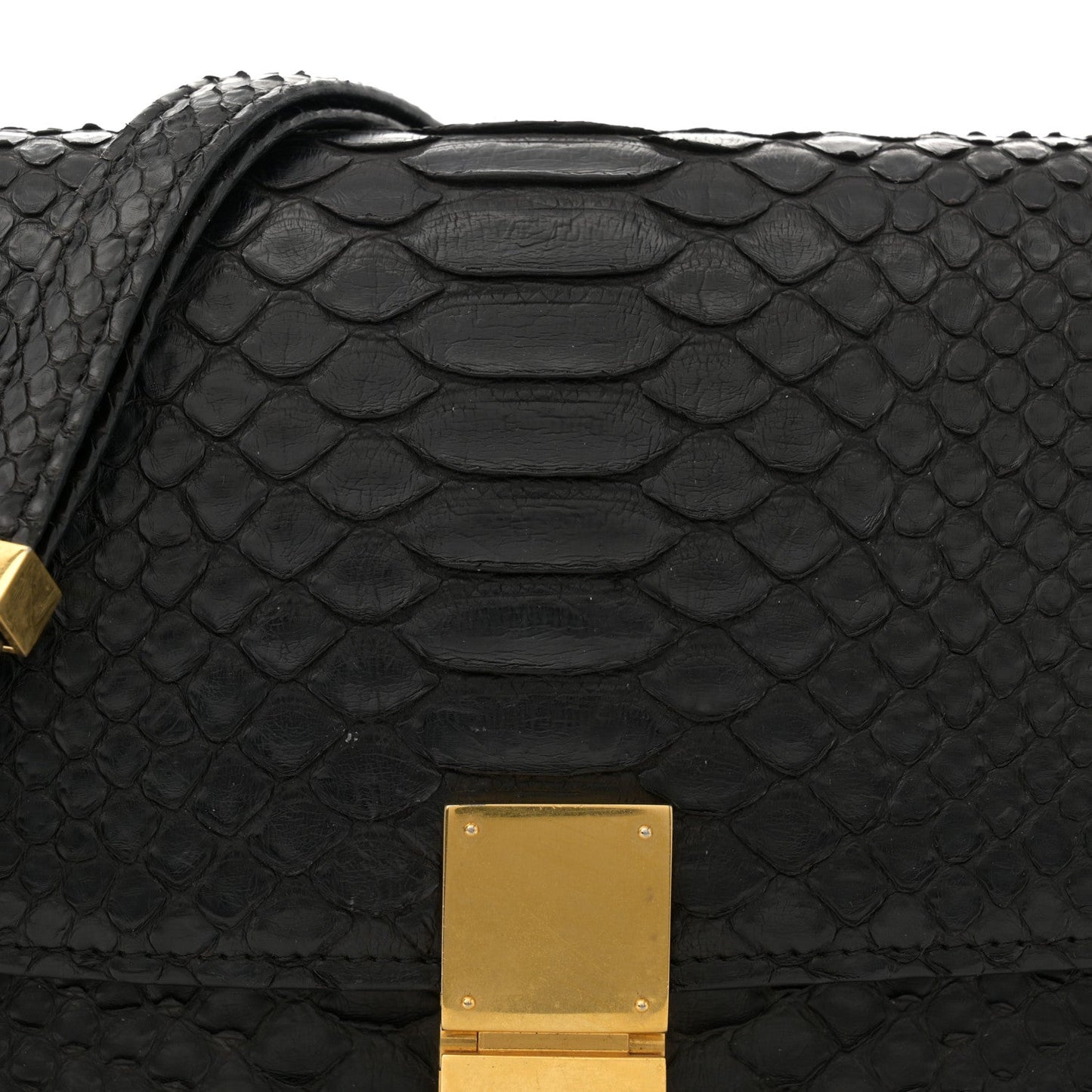 Snakeskin Medium Classic Box Flap Bag Black