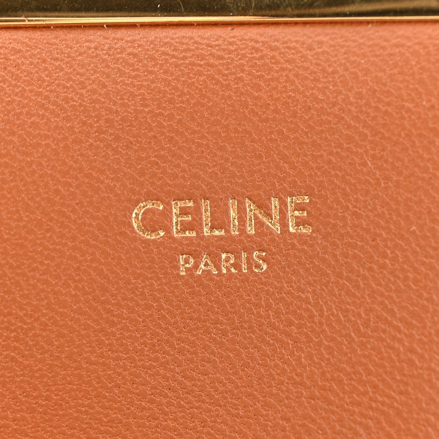 Calfskin Triomphe Canvas Teen Triomphe Bag Tan