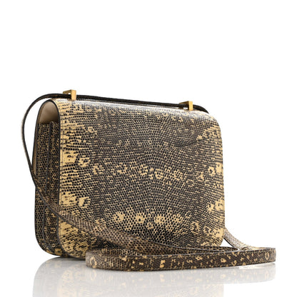Lizard Constance 18 Ombre