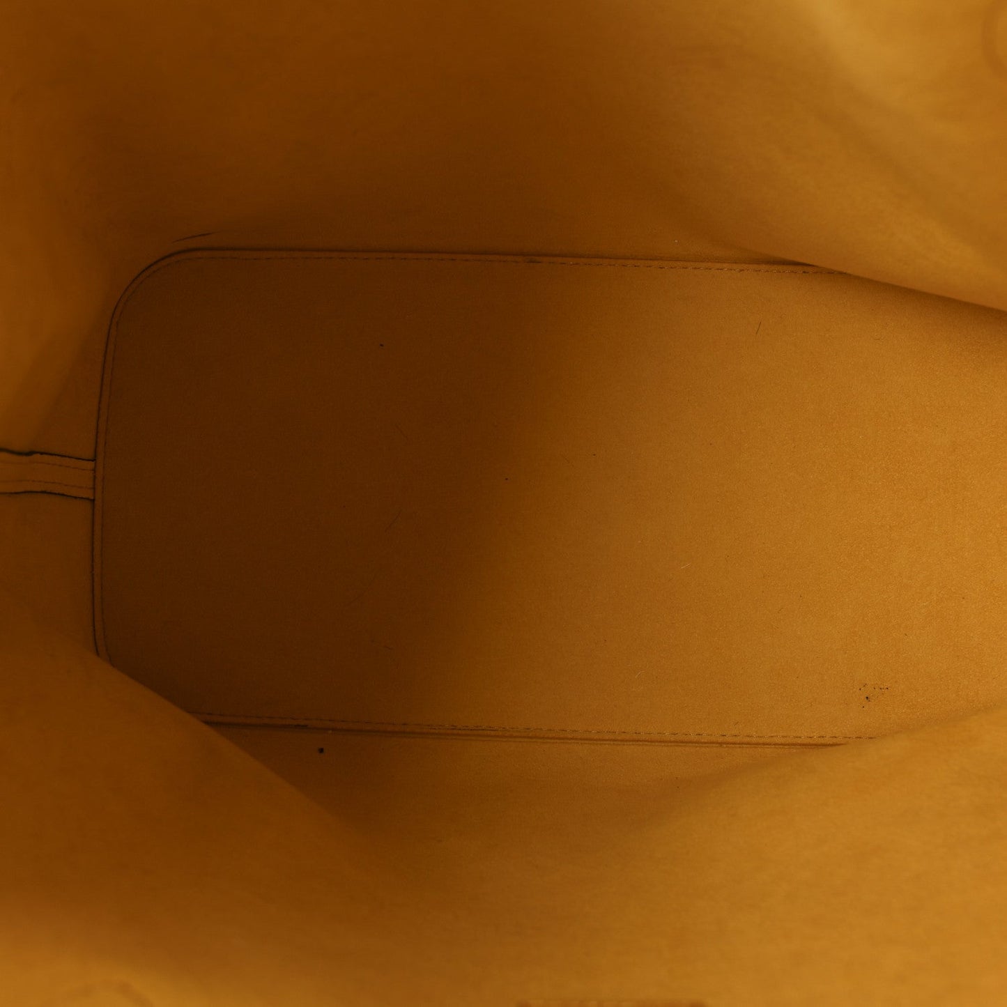 Epi Neverfull MM Mimosa
