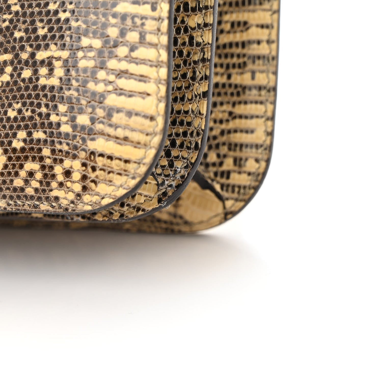 Lizard Constance 18 Ombre