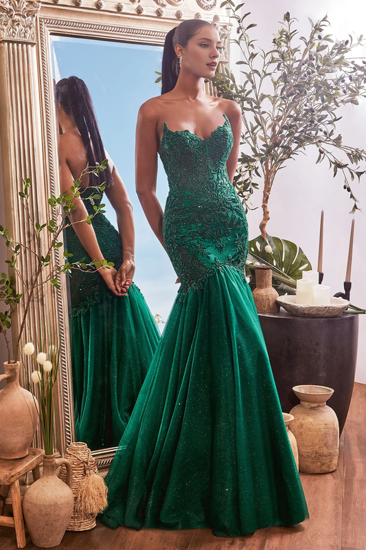 Lace applique long strapless chiffon dress