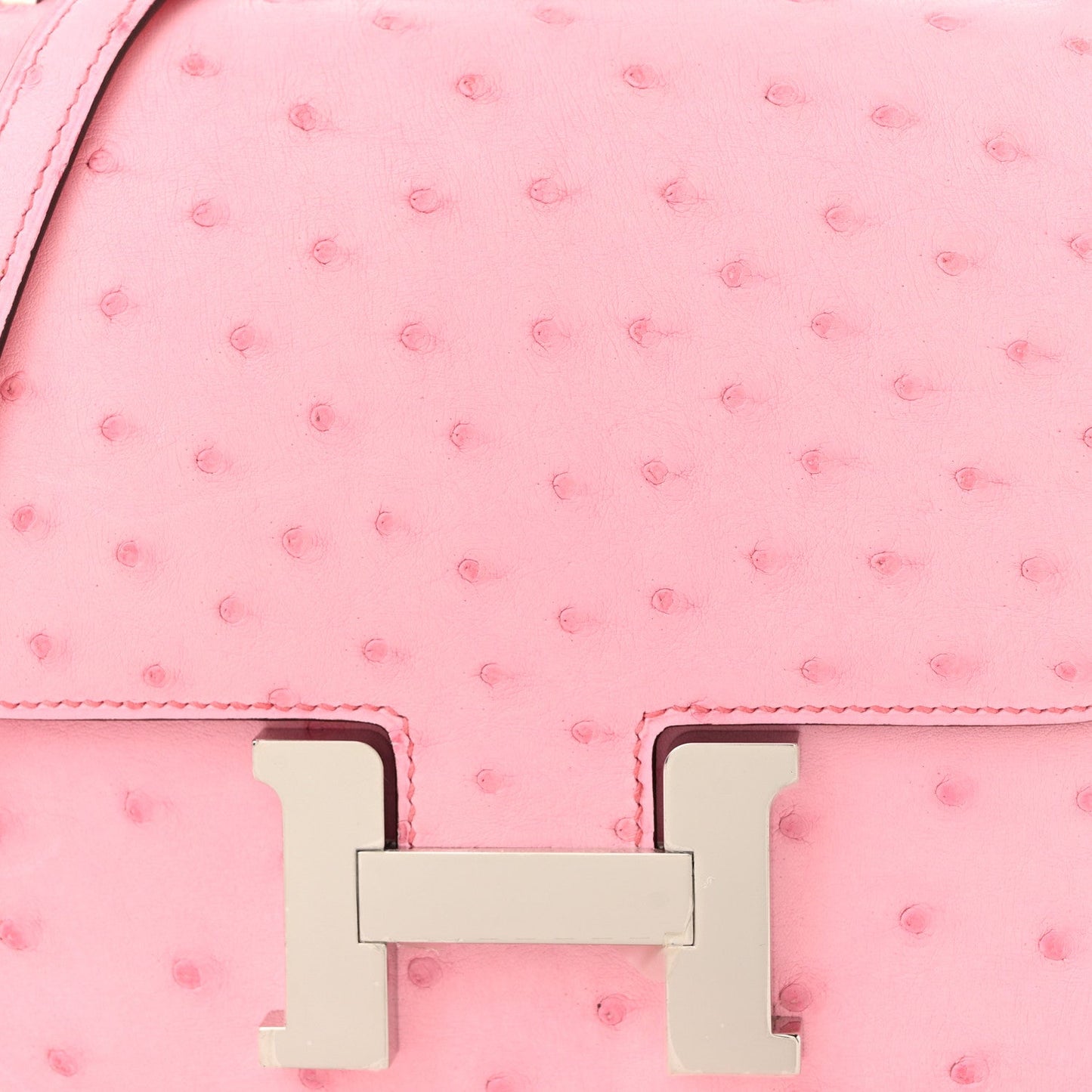 Ostrich Constance 18 Bubblegum