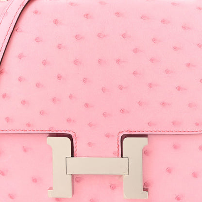 Ostrich Constance 18 Bubblegum