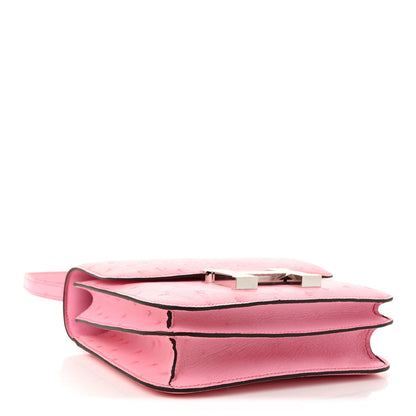 Ostrich Constance 18 Bubblegum