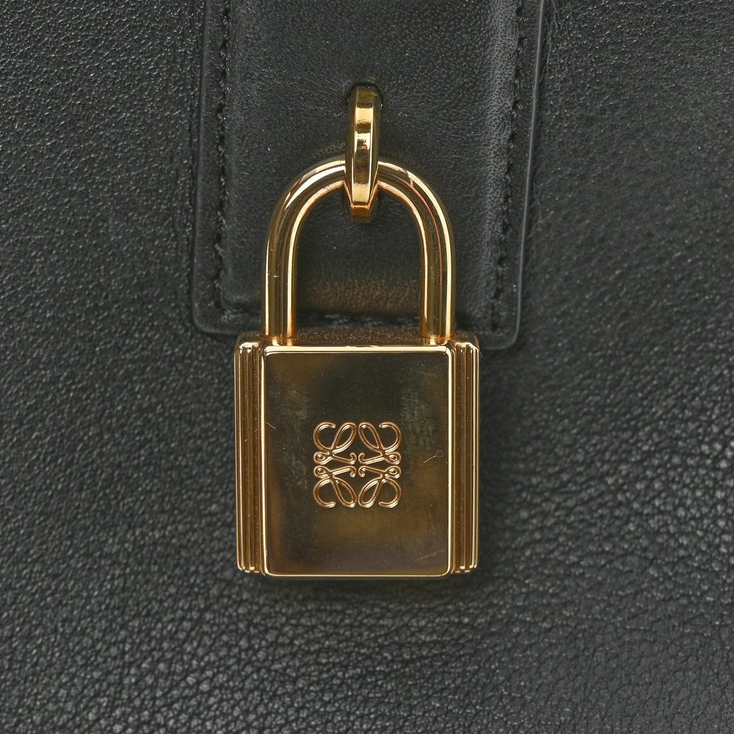 Calfskin Amazona 19 Black