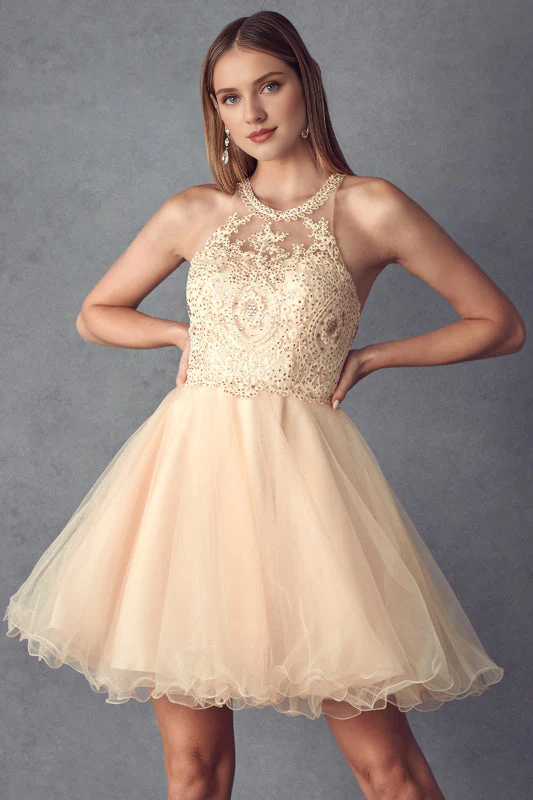 Lace applique short illusion hanging neck dress
