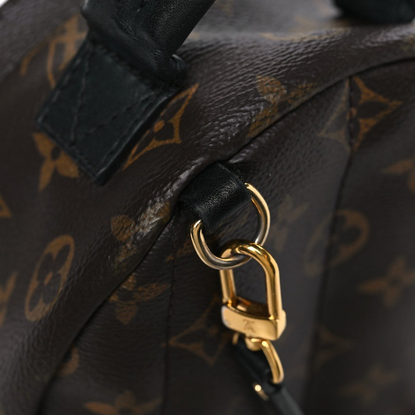 Monogram Palm Springs Backpack Mini