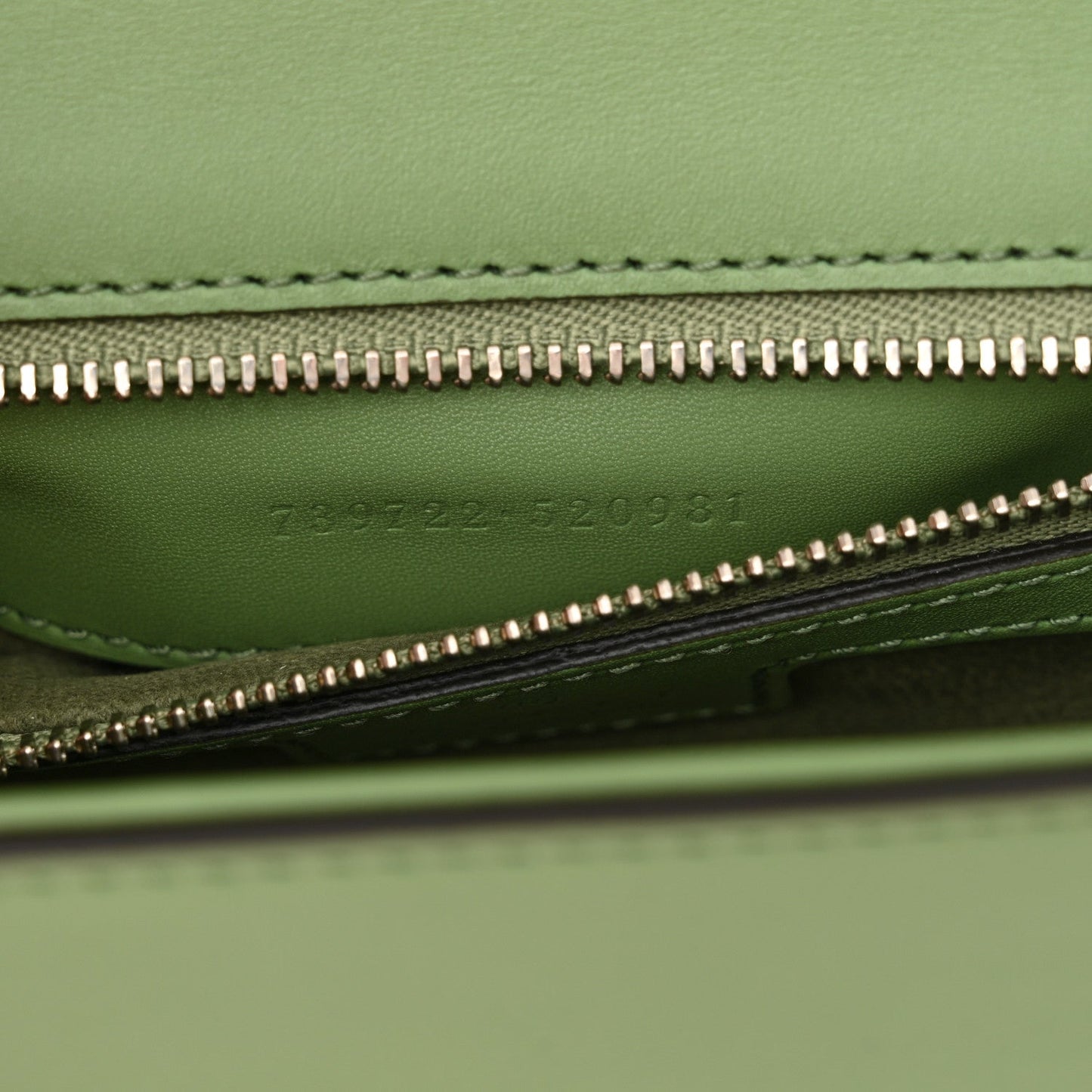 Senna Calfskin Petite GG Top Handle Shoulder Bag Green Soil Grass