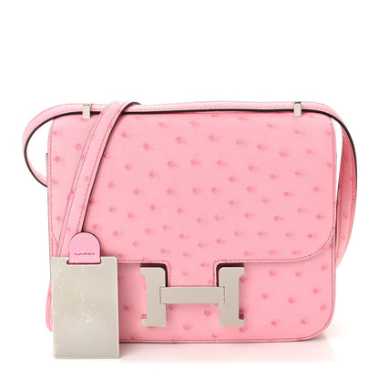 Ostrich Constance 18 Bubblegum