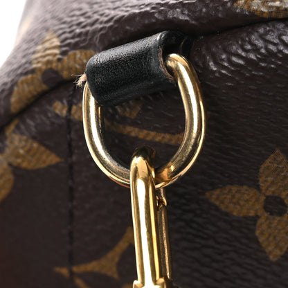 Monogram Palm Springs Backpack Mini