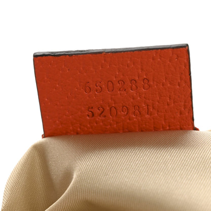 X THE NORTH FACE Monogram Textured Dollar Calfskin Embroidered Beige Ebony Mystic White Deep Orange