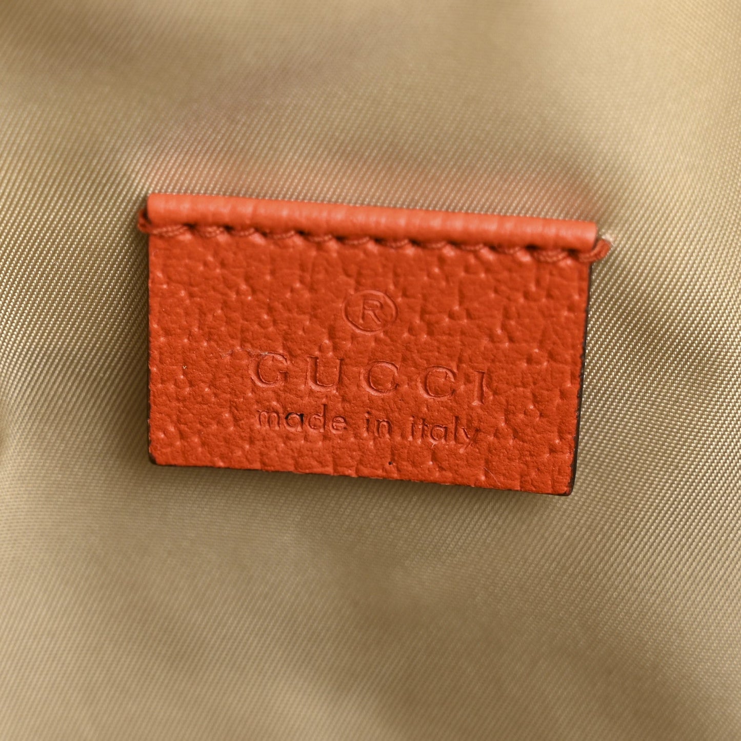 X THE NORTH FACE Monogram Textured Dollar Calfskin Embroidered Beige Ebony Mystic White Deep Orange