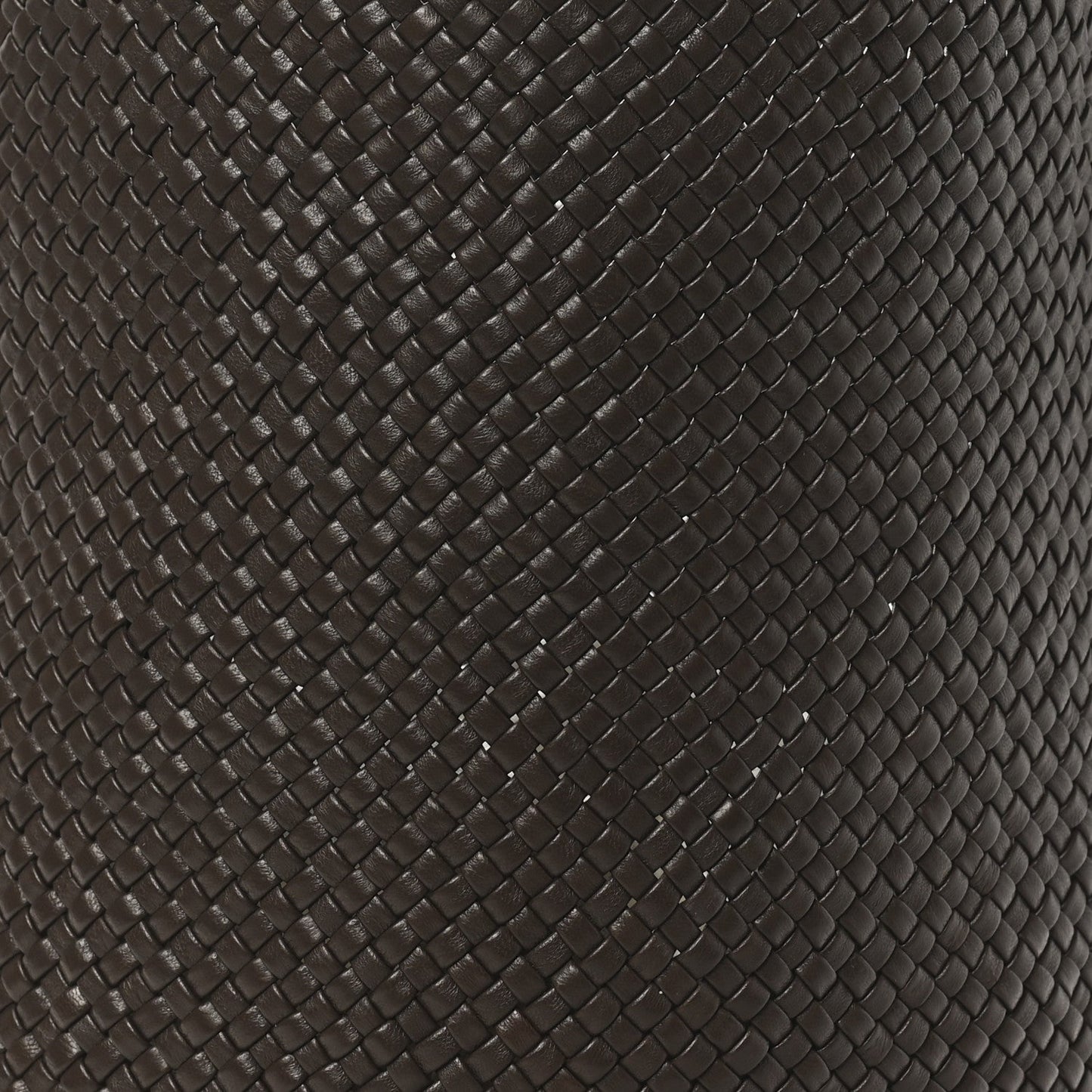 Woven Calfskin Medium N/S Tote Bag Dark Brown