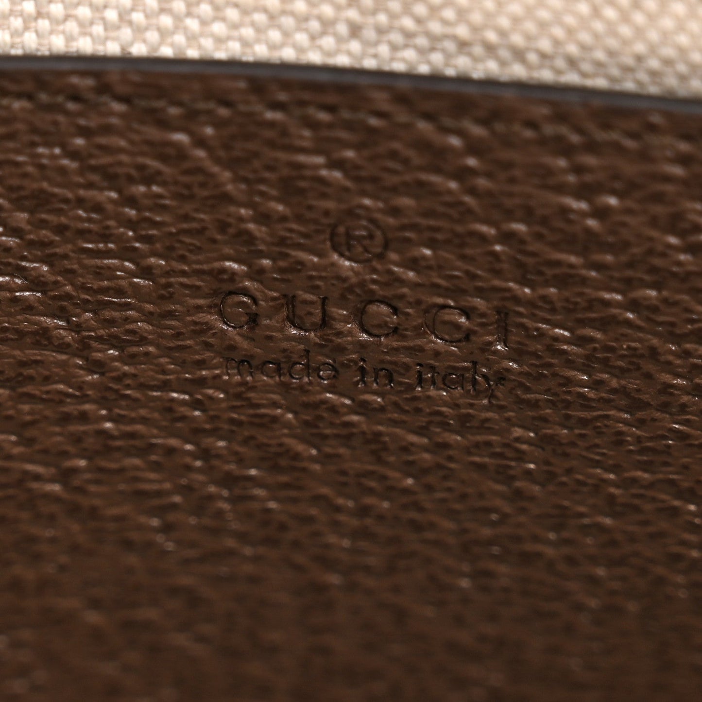 GG Supreme Monogram Textured Dollar Calfskin Web Small Ophidia GG Handbag Beige Ebony New Acero