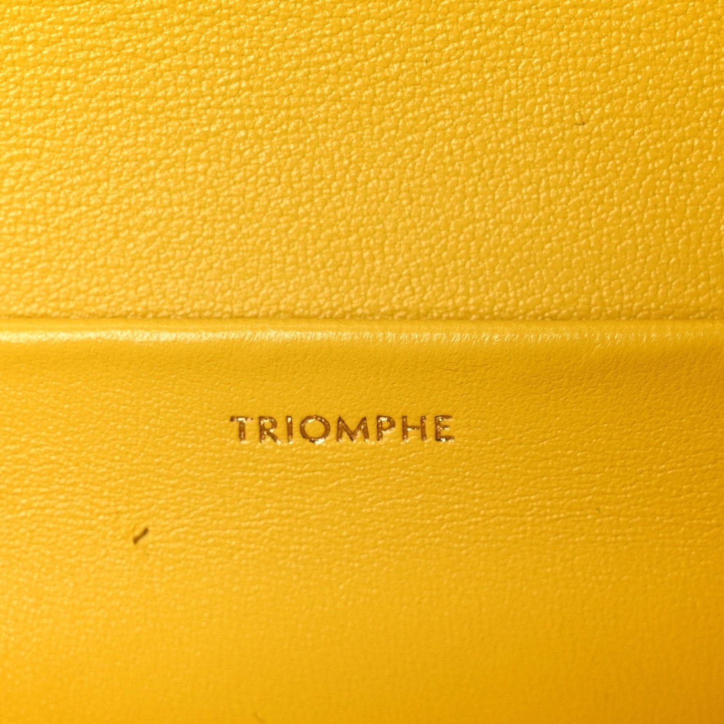 Fluffy Shearling Triomphe Claude Chain Shoulder Bag Yellow
