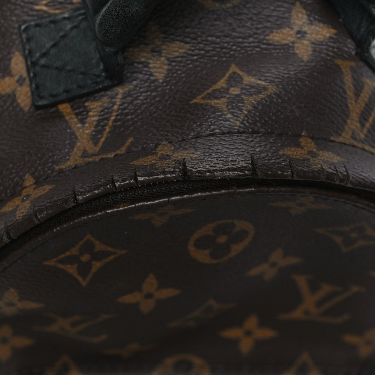 Monogram Palm Springs Backpack Mini