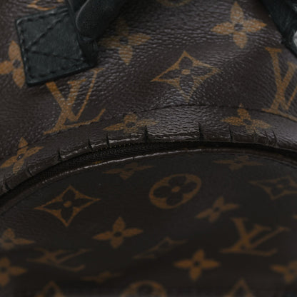 Monogram Palm Springs Backpack Mini