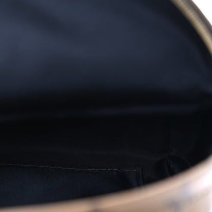Reverse Monogram Palm Springs Backpack Mini