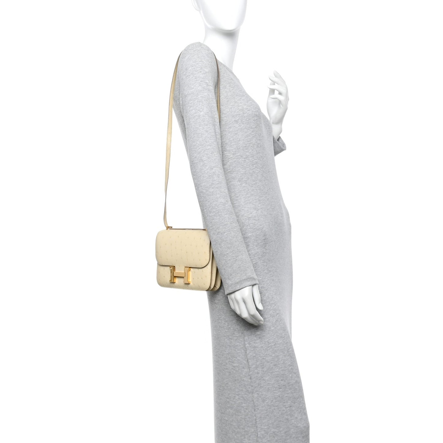 Ostrich Constance 18 Parchemin