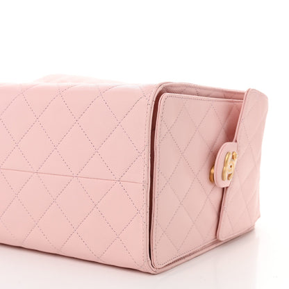 Caviar Quilted Medium Chanel 25 Handbag Light Pink