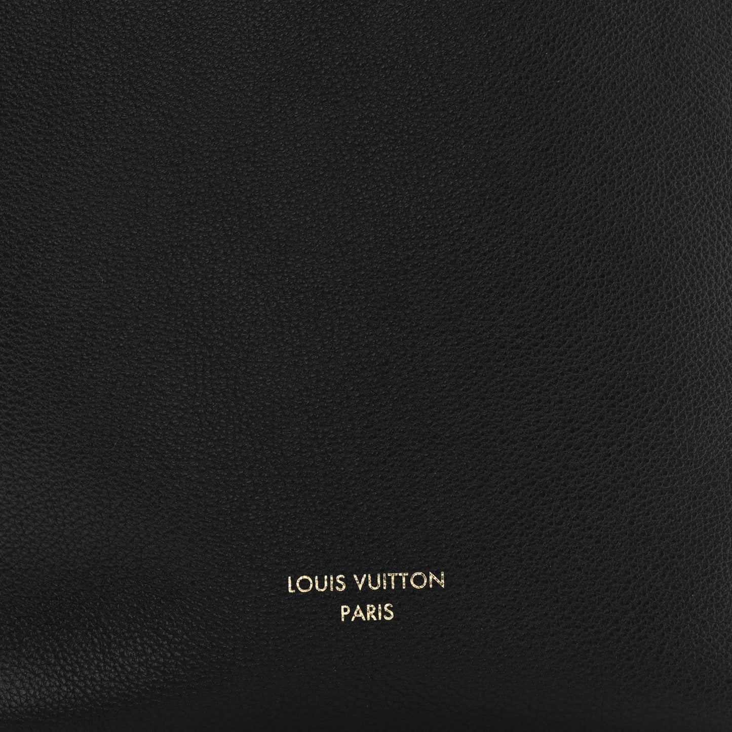 Grained Calfskin Low Key Hobo PM Black