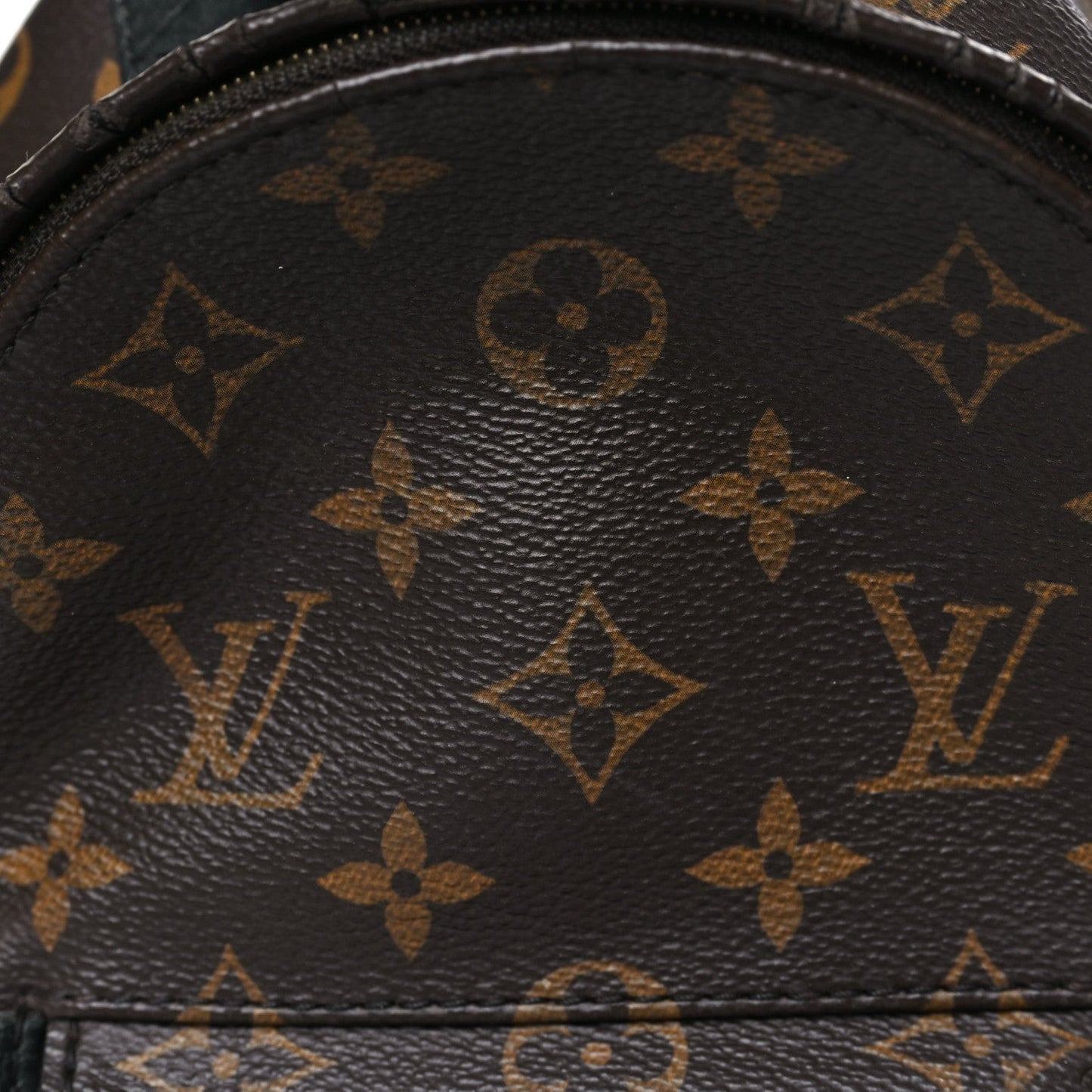Monogram Palm Springs Backpack Mini